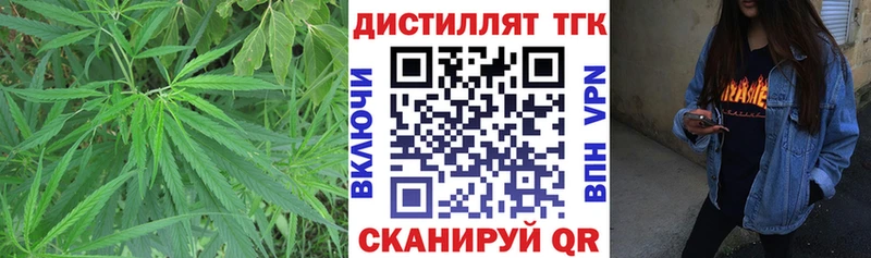 ссылка на мегу онион  Кодинск  Дистиллят ТГК THC oil 