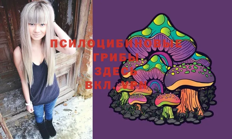 Галлюциногенные грибы Magic Shrooms  Кодинск 